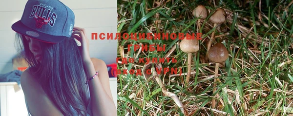 экстази Медвежьегорск