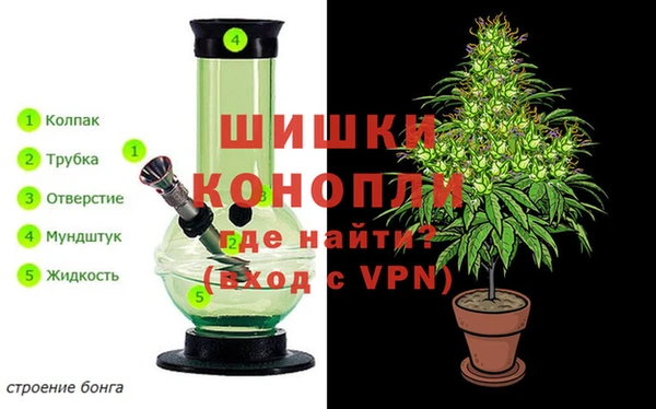сатива Липки