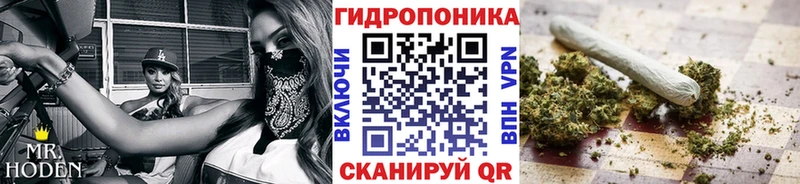 купить наркотики сайты  Спас-Клепики  Бошки Шишки AK-47 
